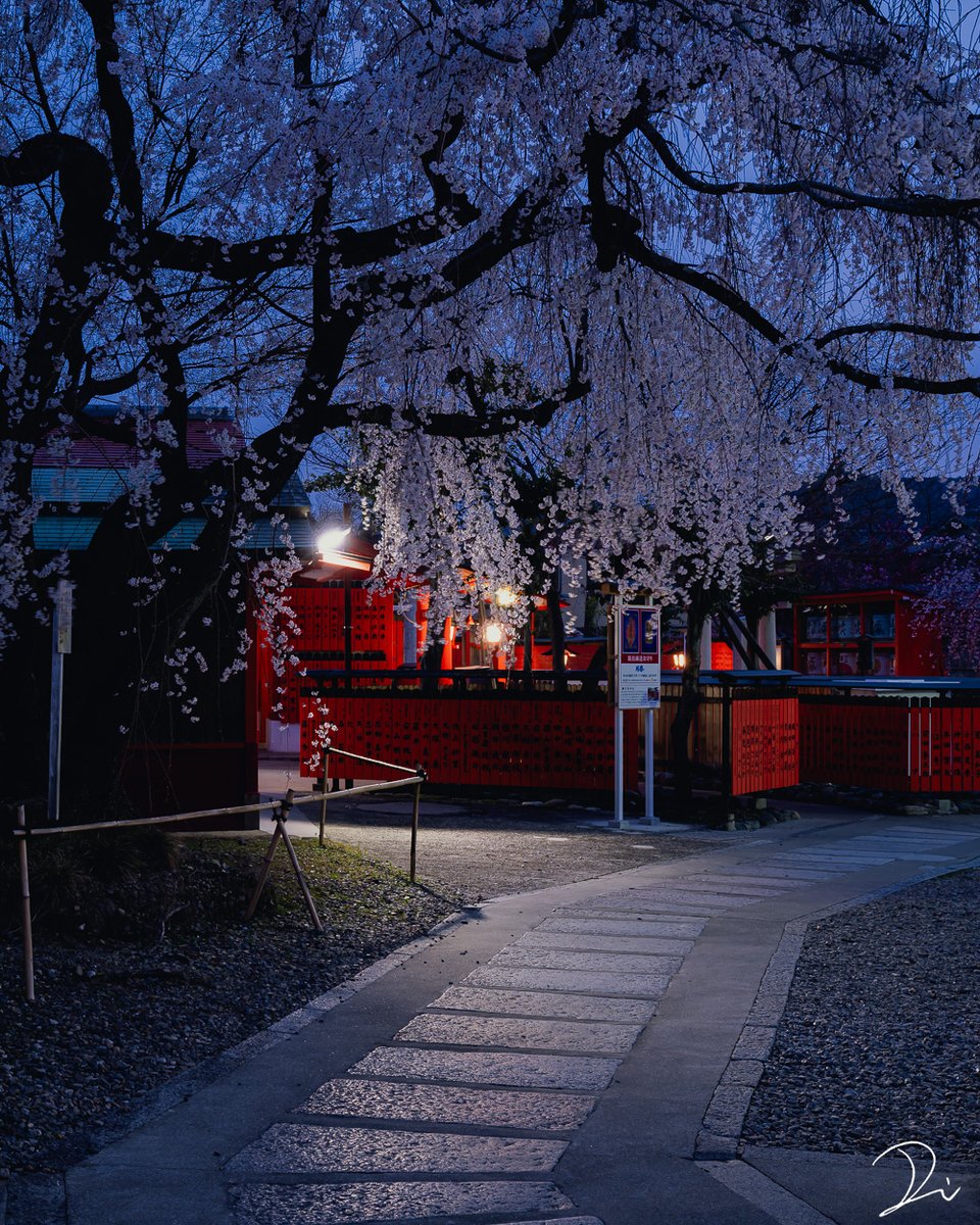 稲田大樹 / Daiki Inada tweet media