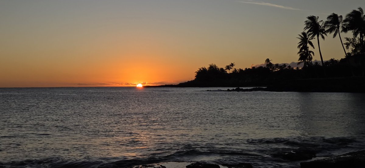 Poe Aloha tweet media