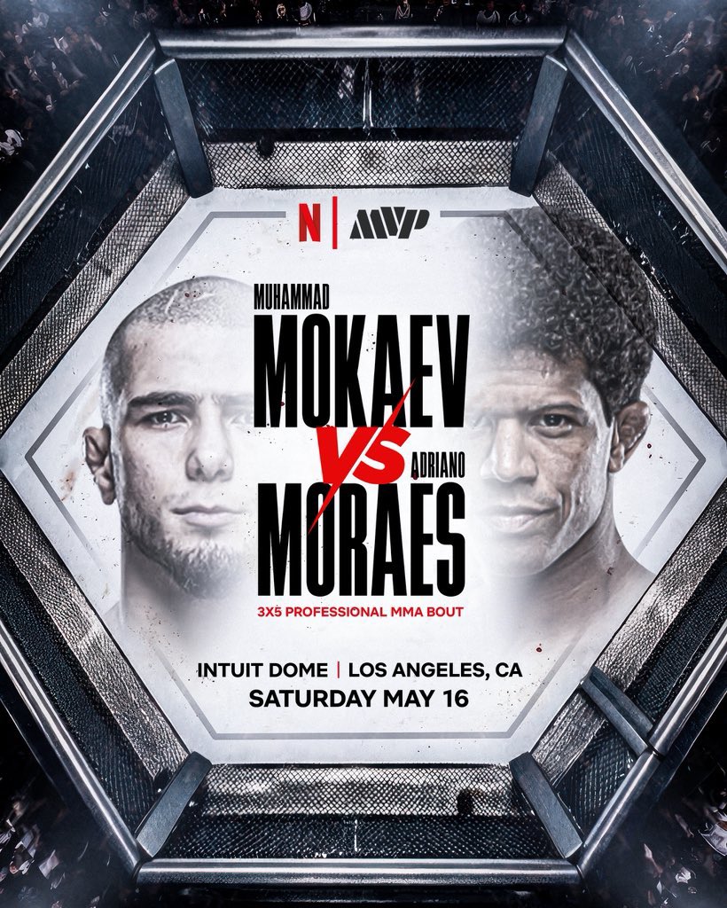 ファイトメモリー | Fight Memory tweet media