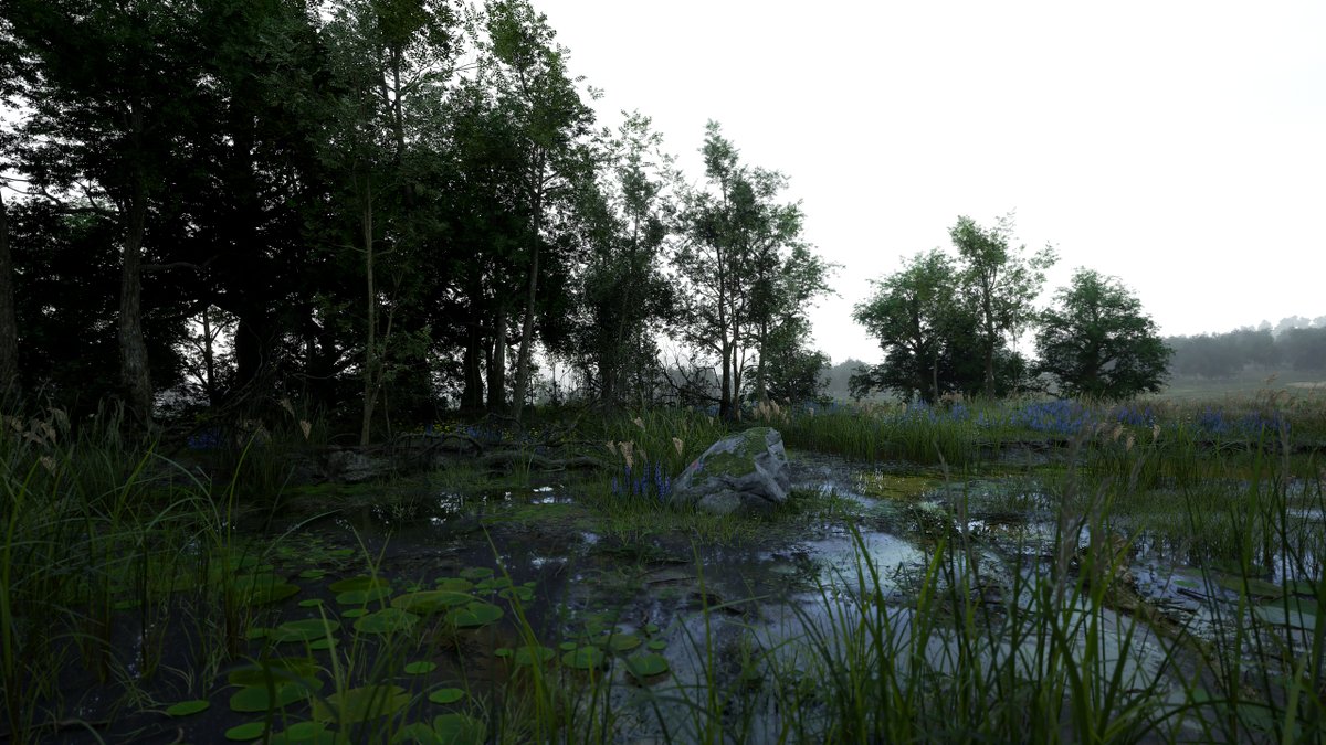 Jonathon Gregory Bick 🦑 tweet media