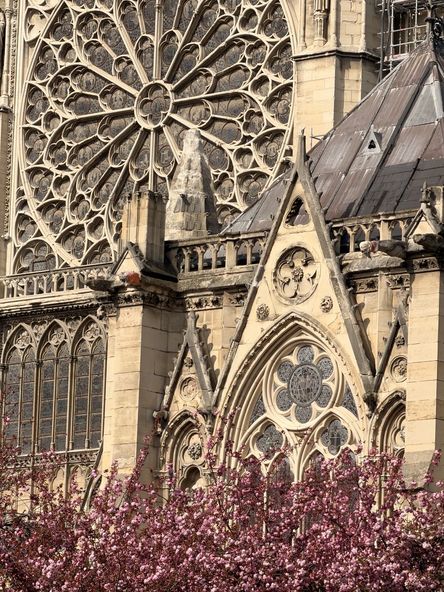 Baptiste Gianeselli 🇫🇷 🇪🇺 tweet media