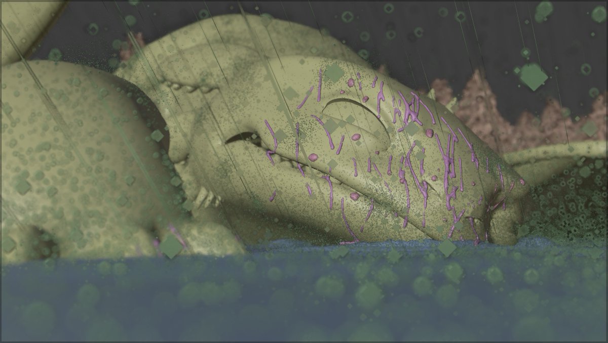 Benderaka tweet media