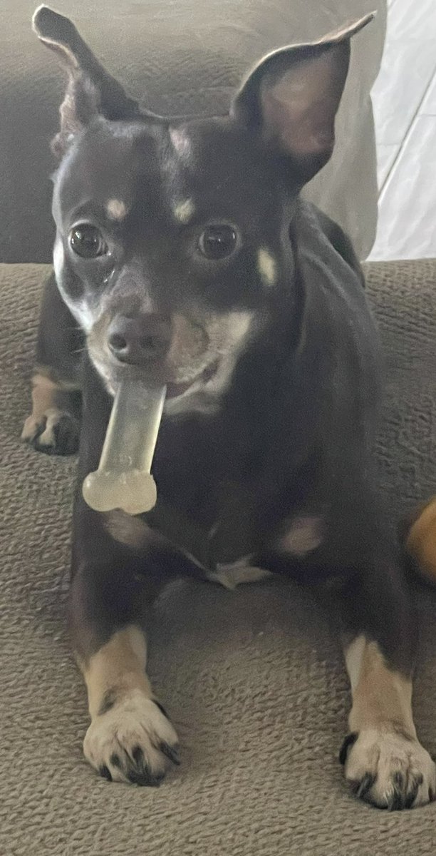 Helldiver Grey tweet media