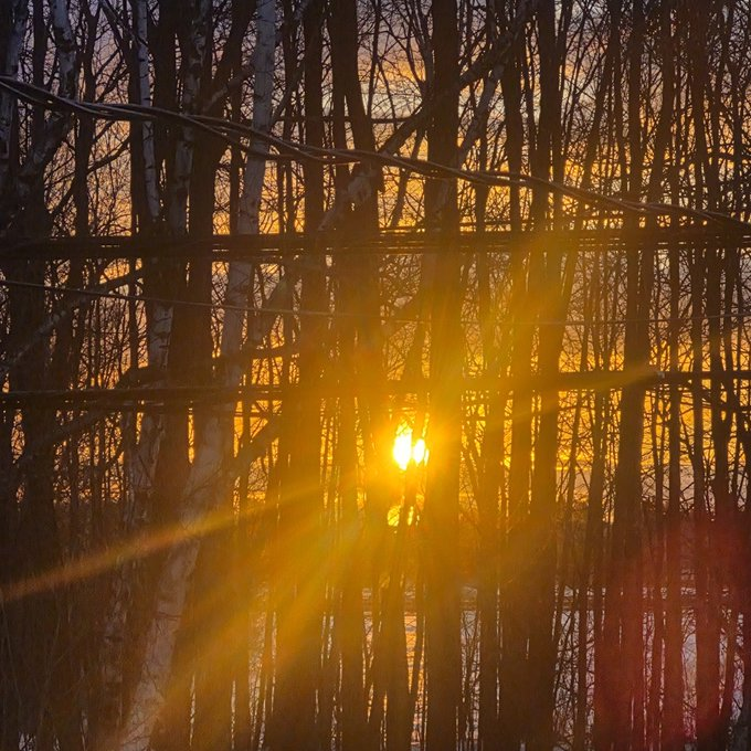 Ava_Johnson993's tweet photo. Basking in the morning glow, where dreams awaken and possibilities unfold. ☀️✨ Embrace the day with a heart full of hope and gratitude. Let the light guide your path! 🌅 #MorningVibes #DawnMagic https://t.co/Dm7MuD2ATG