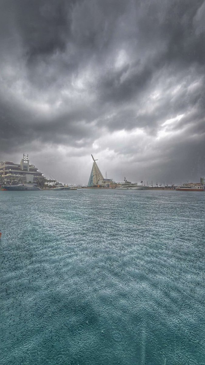 ‏ فالكون tweet media