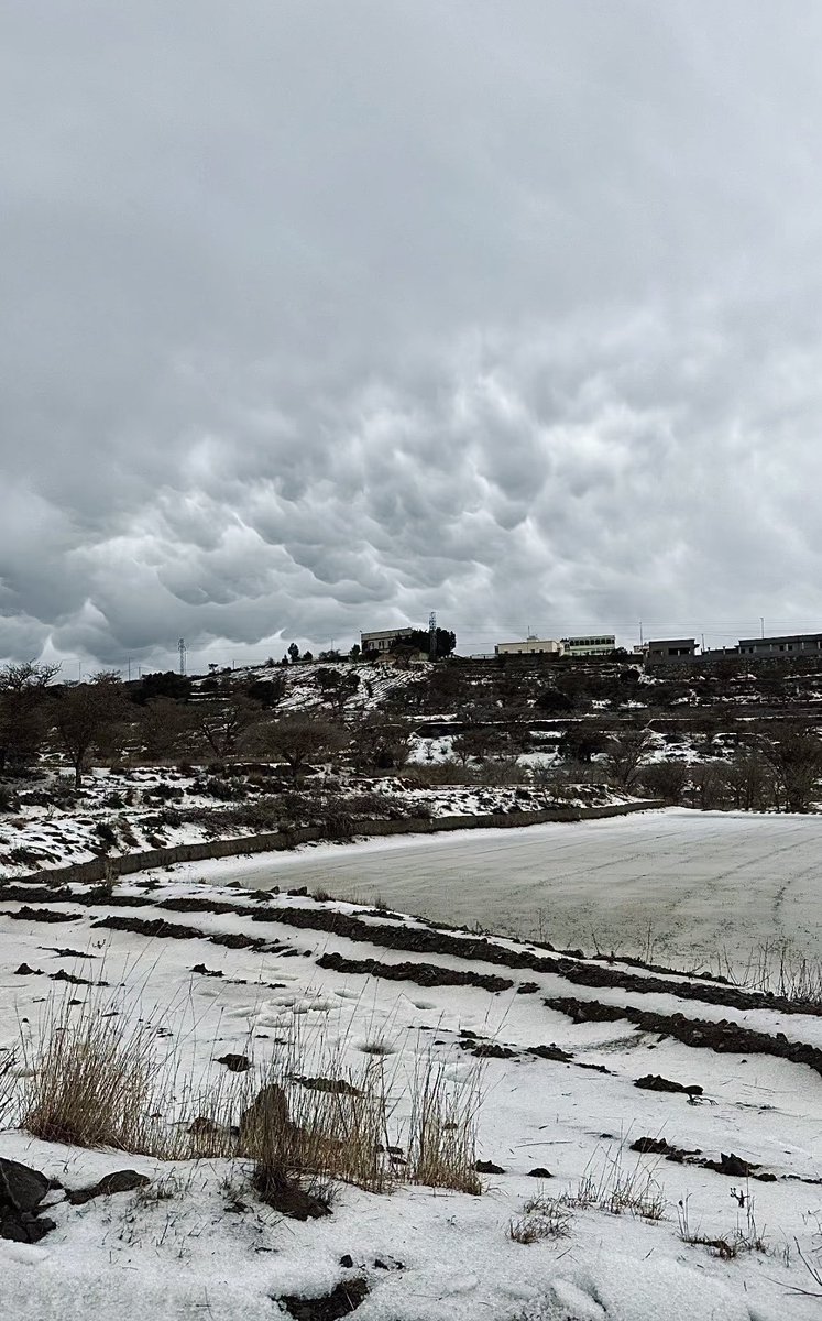 ‏ فالكون tweet media