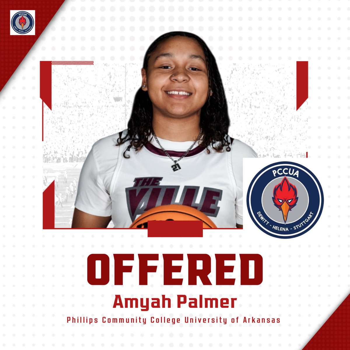 Collierville Lady Dragons tweet media