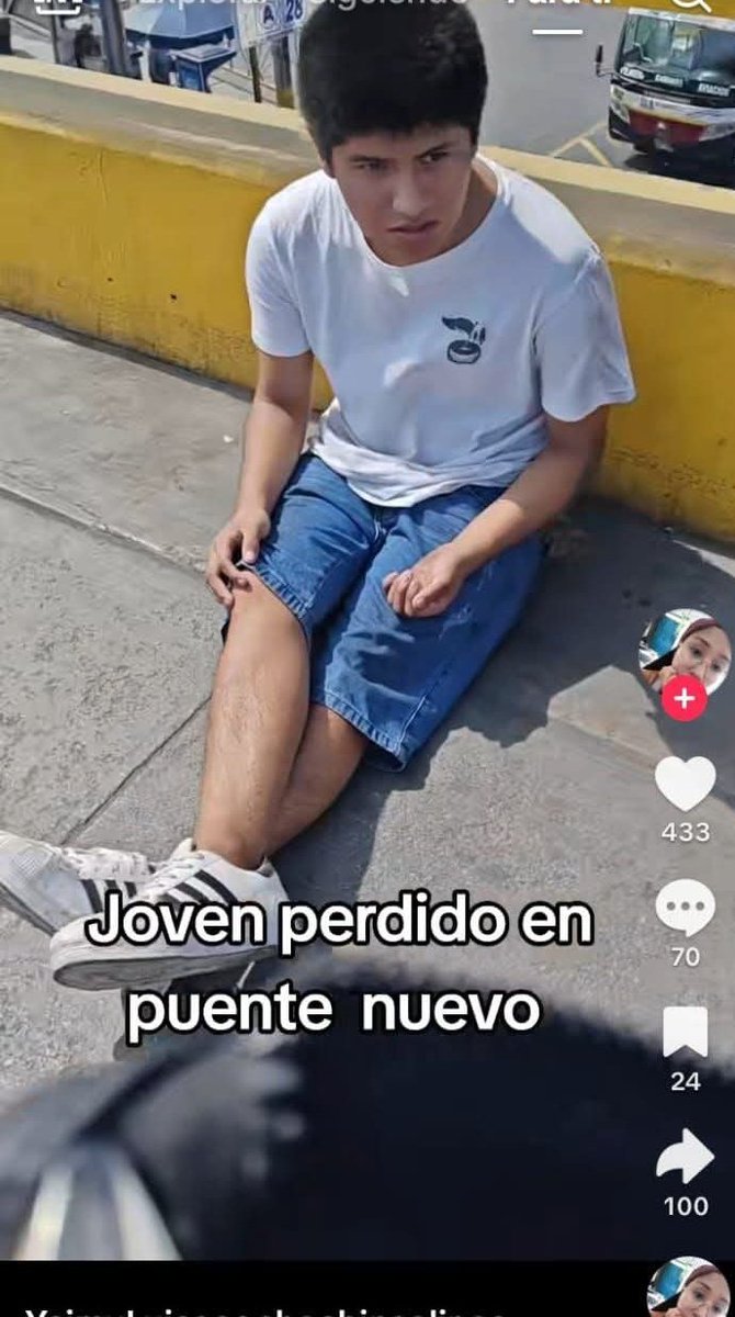 Carola Cal tweet media