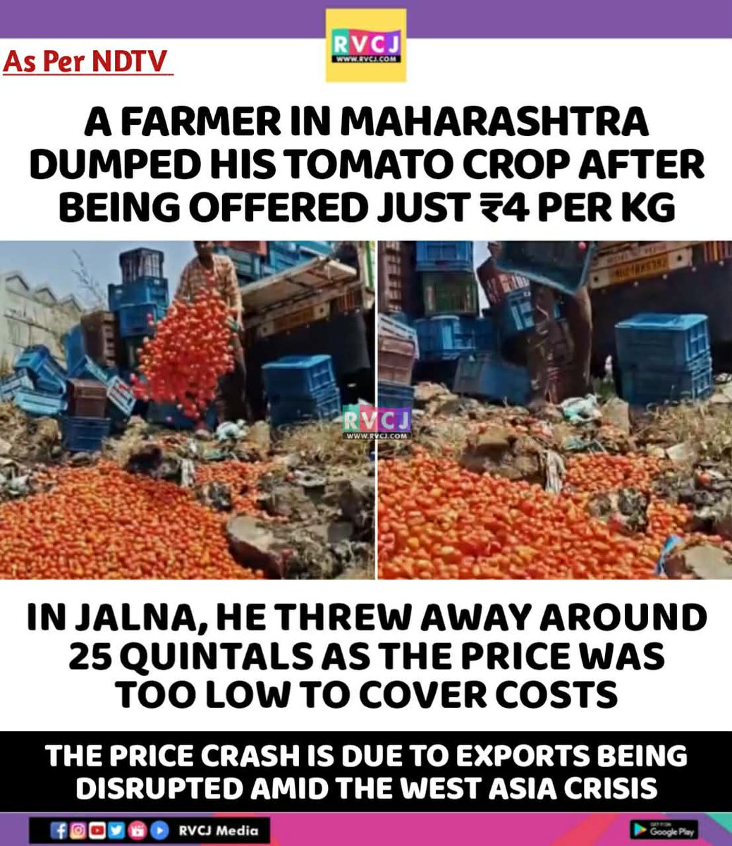 RVCJ_FB's tweet photo. Tomato!! 🍅 https://t.co/8XlANVdbGb