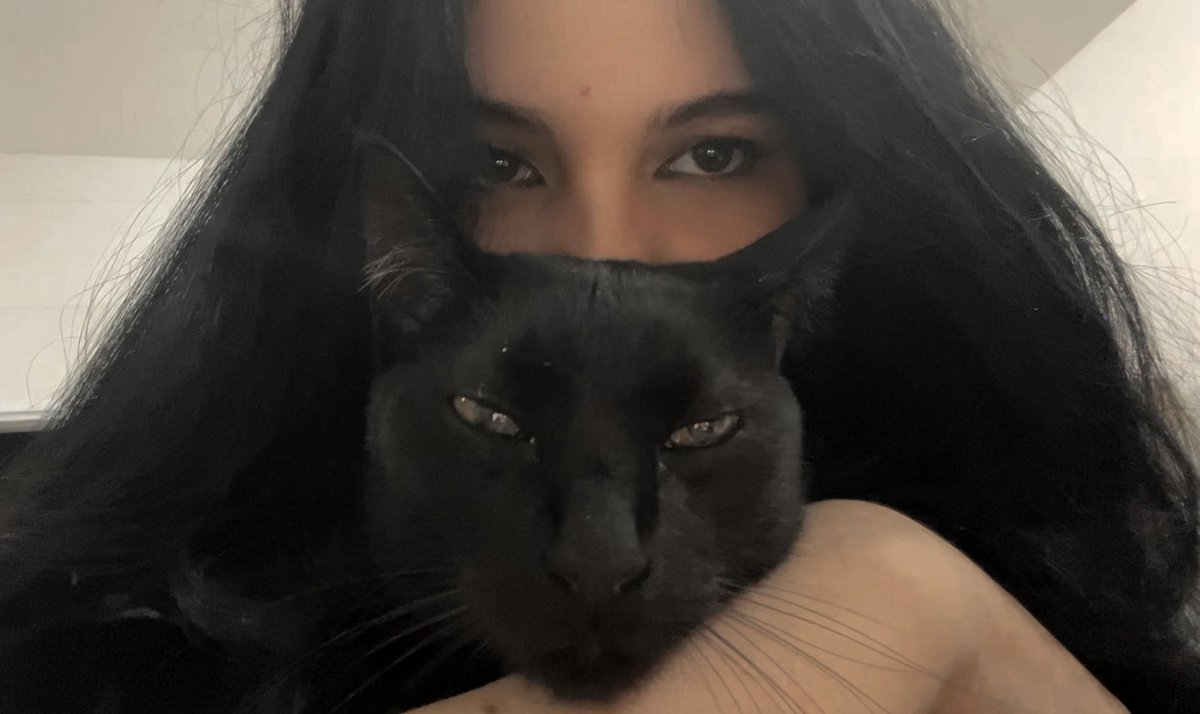 aster caroline🦊 tweet media