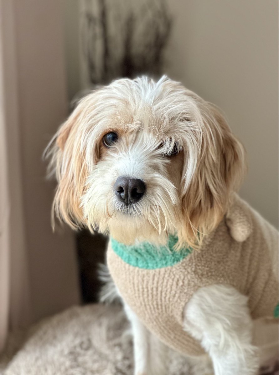 Mark Randall tweet media