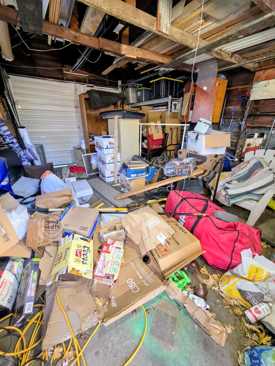 Jess Beck tweet media