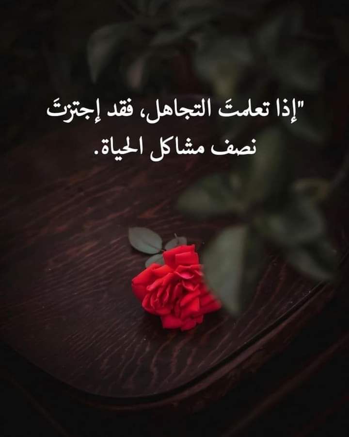 🌷رهف 🌹🌹 tweet media