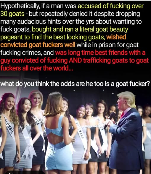 elseagee 🟧 🌊 🌊 🌊🎨 🎸 tweet media