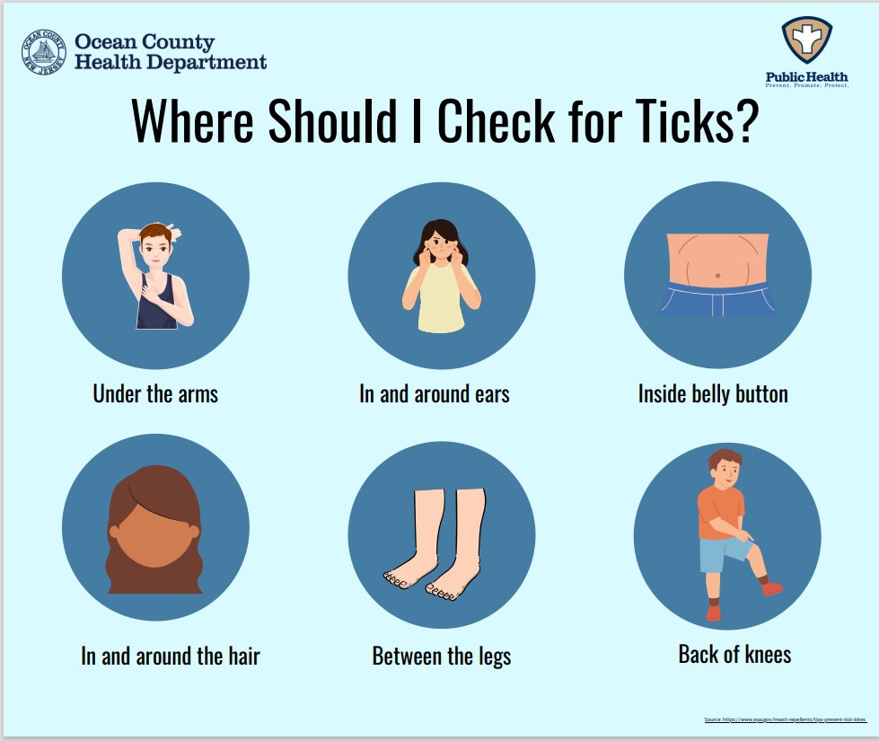 PRESS RELEASE: OCHD URGES TICK SAFETY TO PREVENT LYME DISEASE ocv.im/nCRybBl