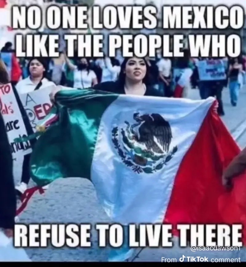 mashfique84 tweet media