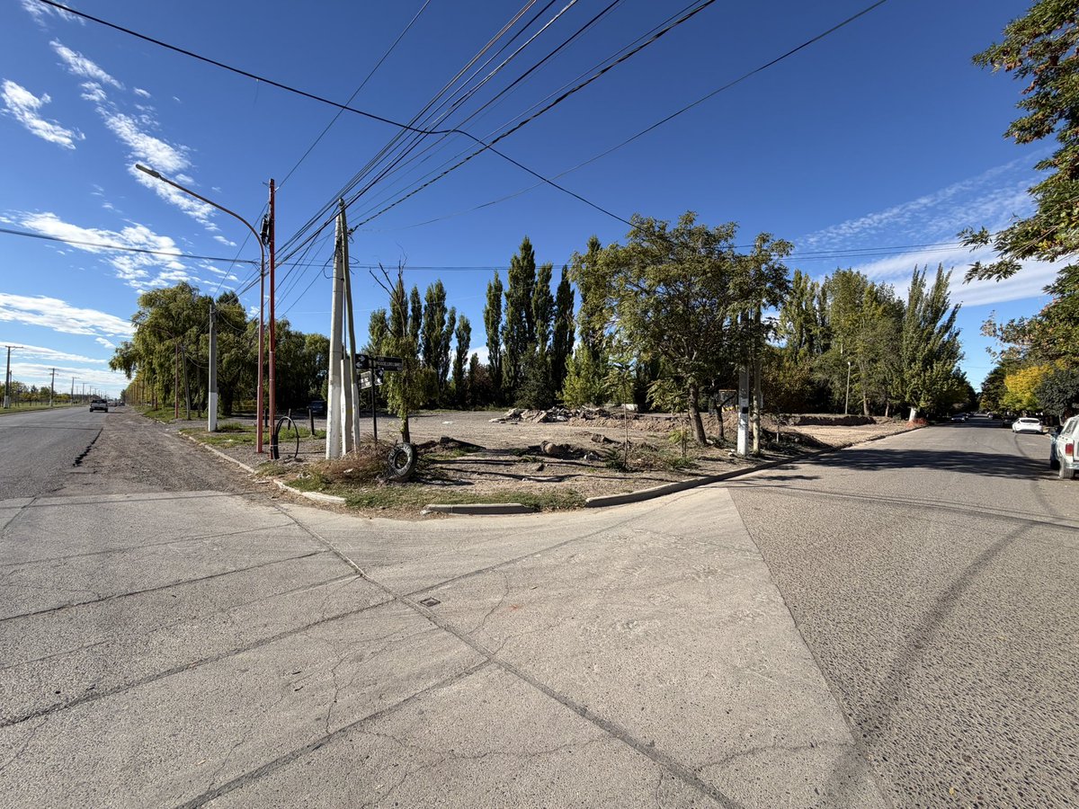 Rodrigo Buteler tweet media