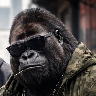 嘘月【公式】 tweet media