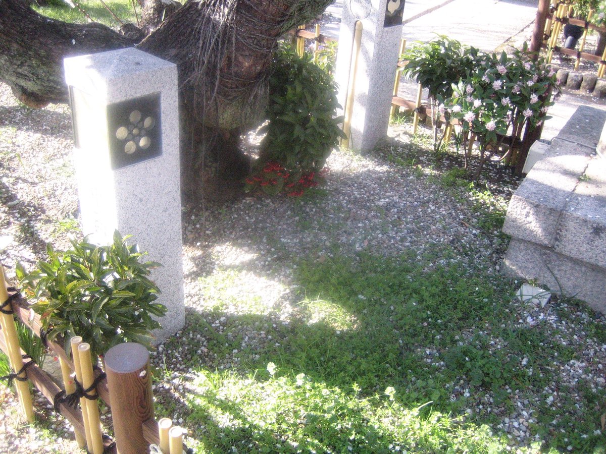 nagi𓅫⸒⸒ tweet media