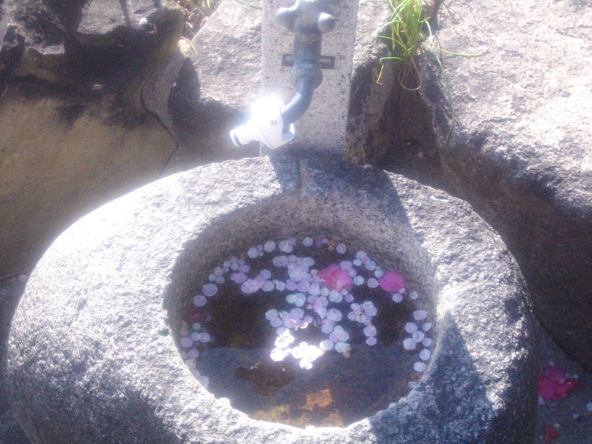 nagi𓅫⸒⸒ tweet media