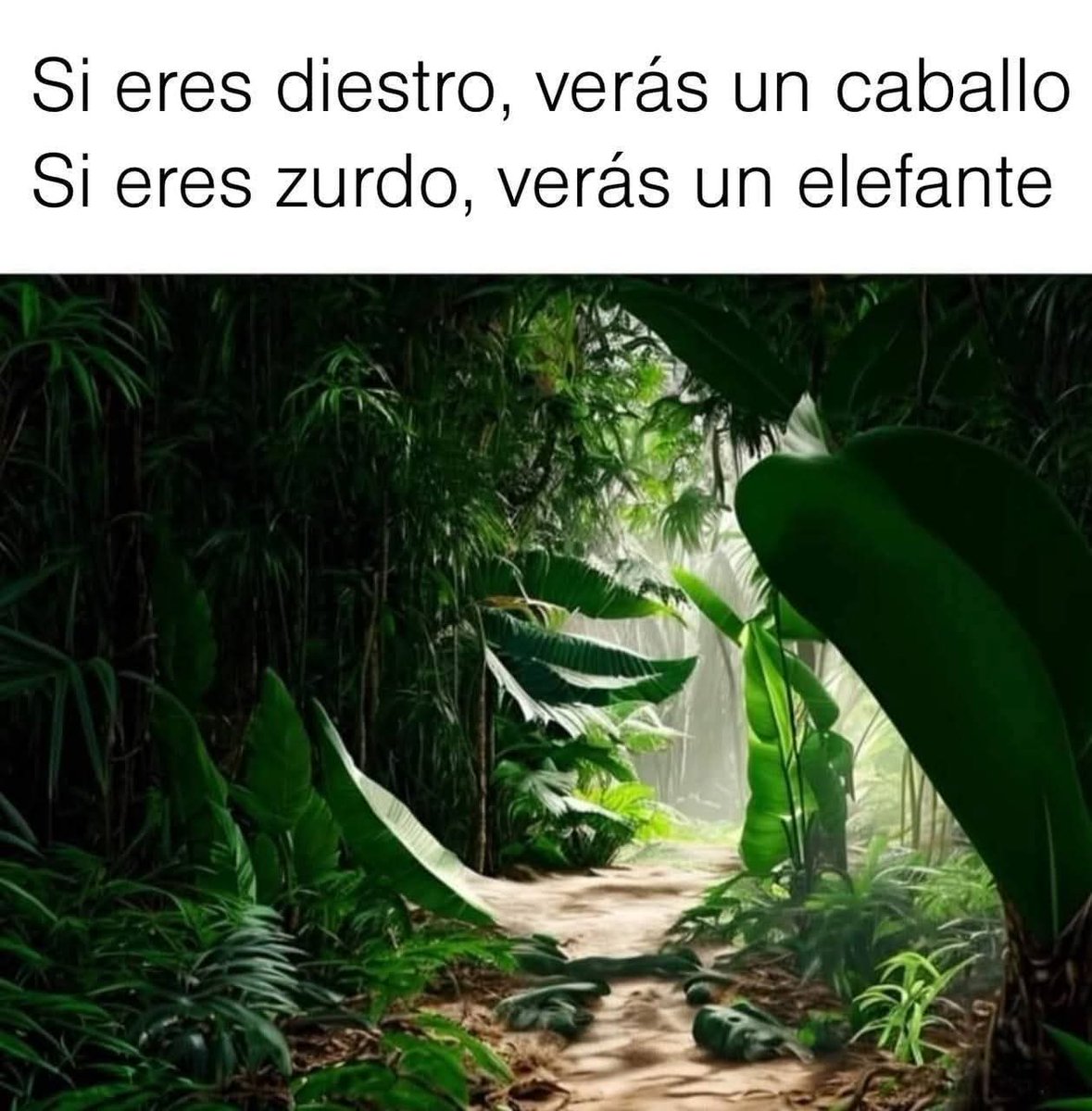 Marcela Quintero tweet media