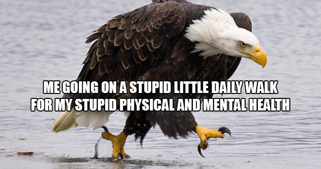 Steve Taylor tweet media