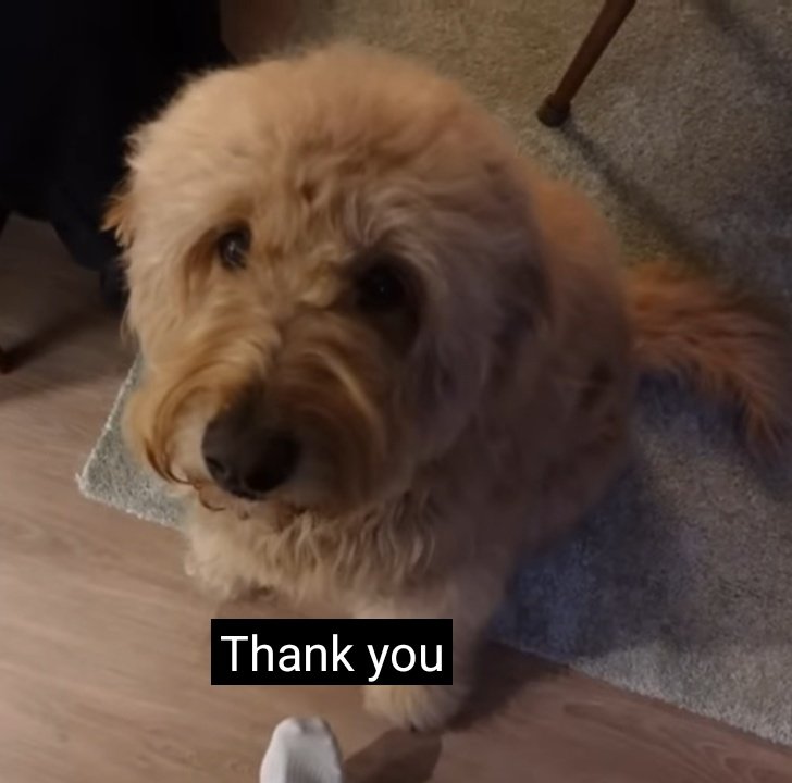 NABI🌩️☁️ tweet media