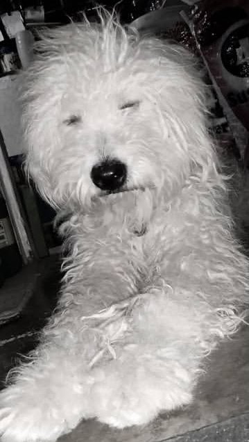 NABI🌩️☁️ tweet media