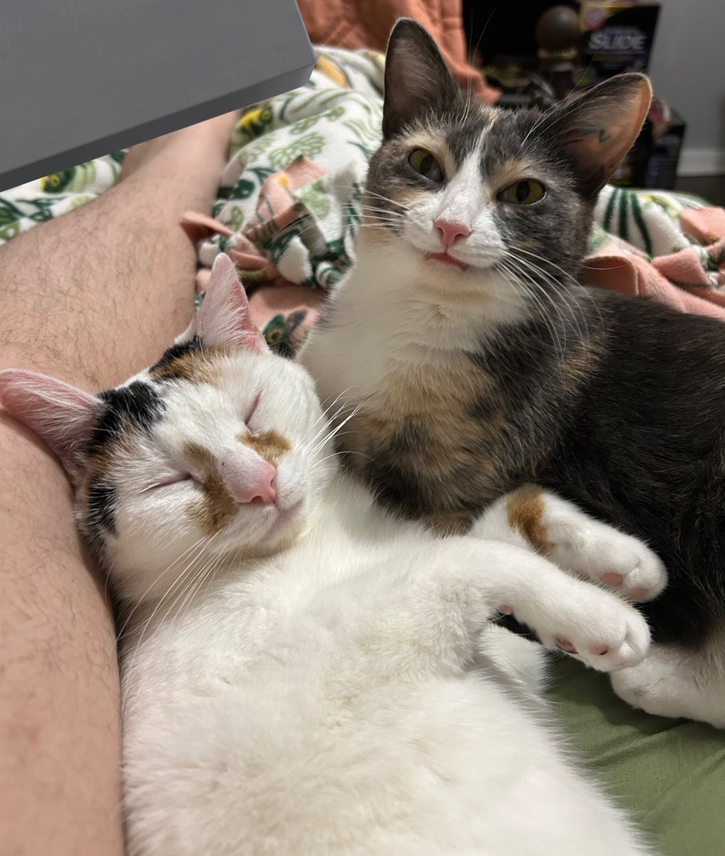 monkey & zoe ❤️ oreo 🌈 tweet media