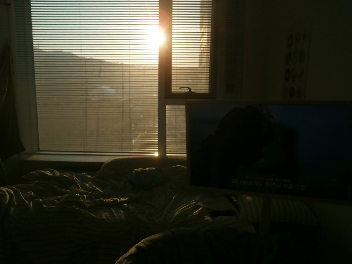 우린젊다 tweet media