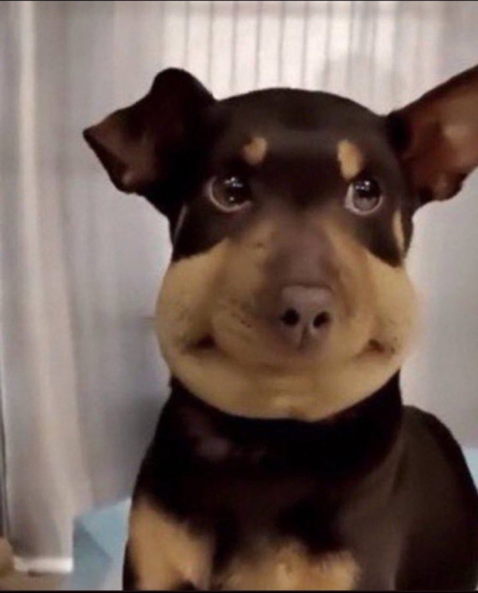 Miles⚡ tweet media