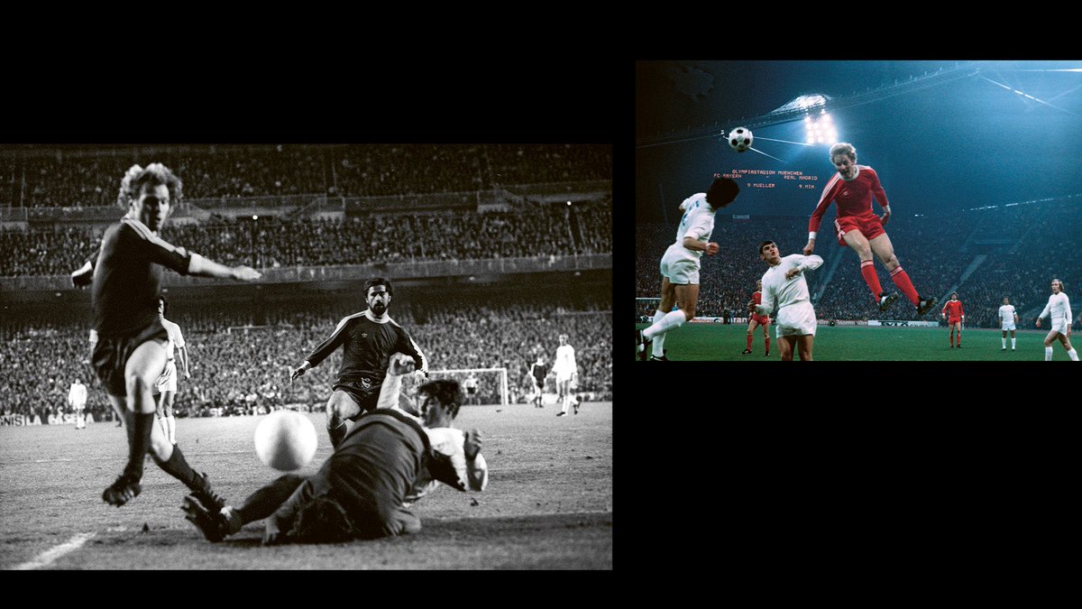 FC Bayern tweet media