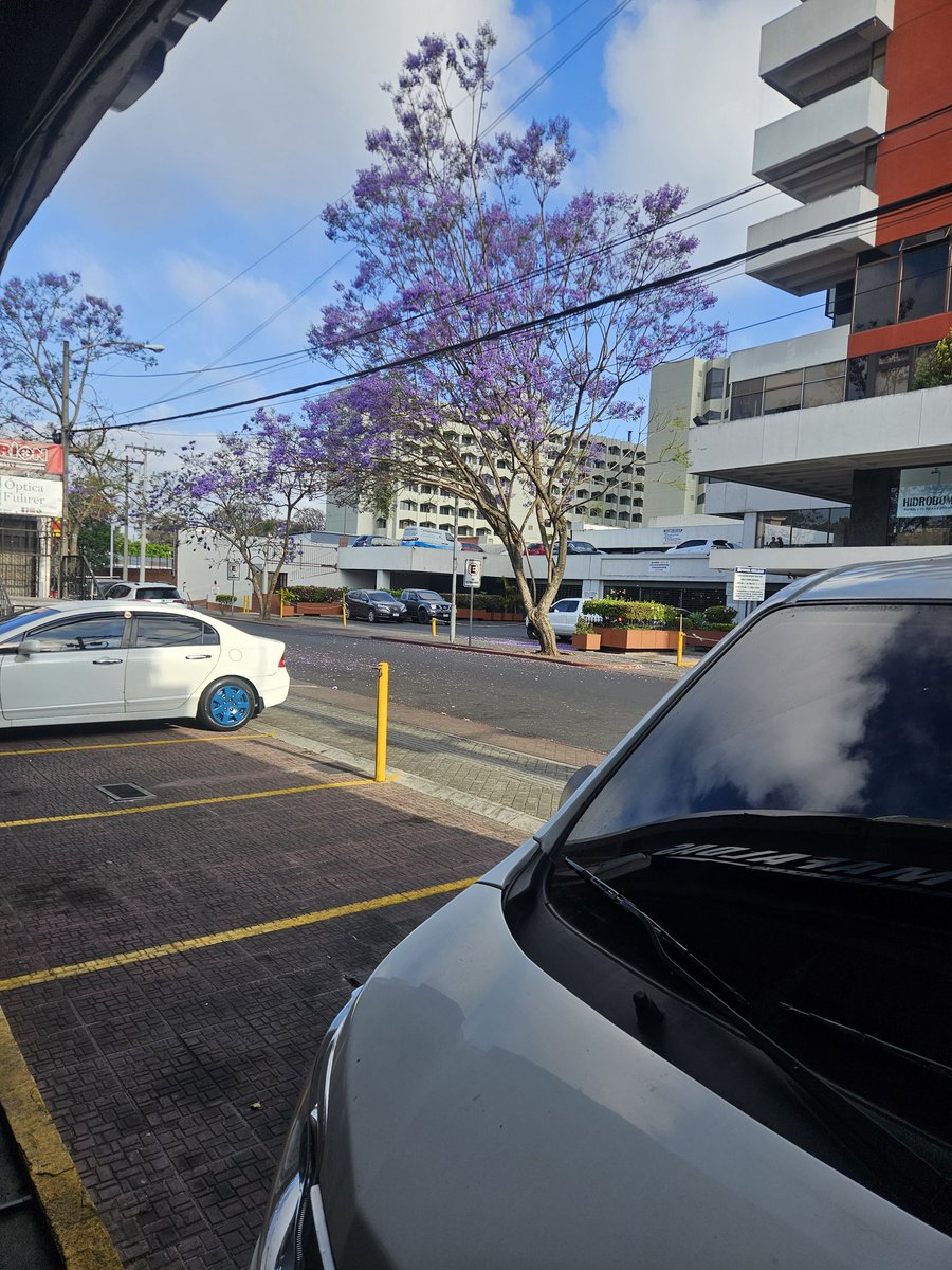 Dieguitos & Mafaldas tweet media