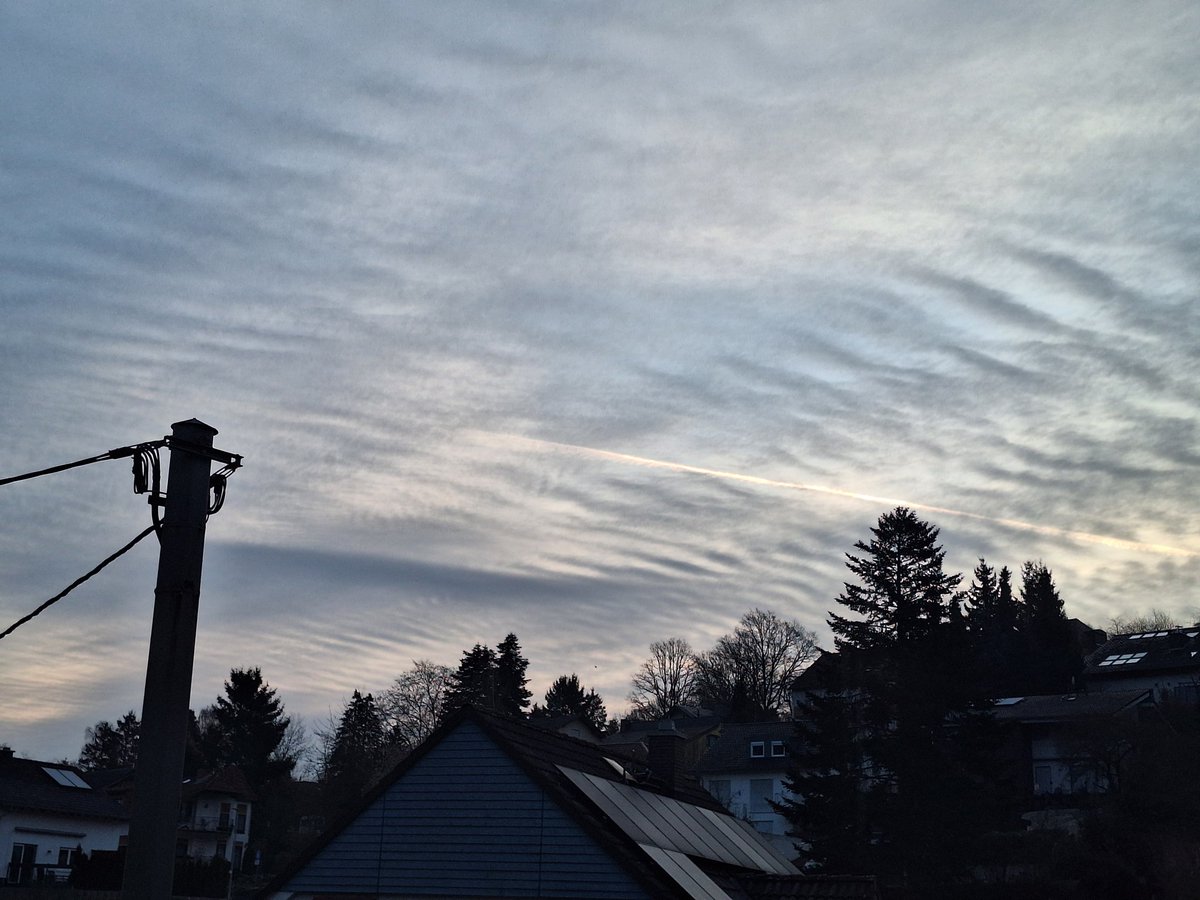 Landcruiser*in tweet media