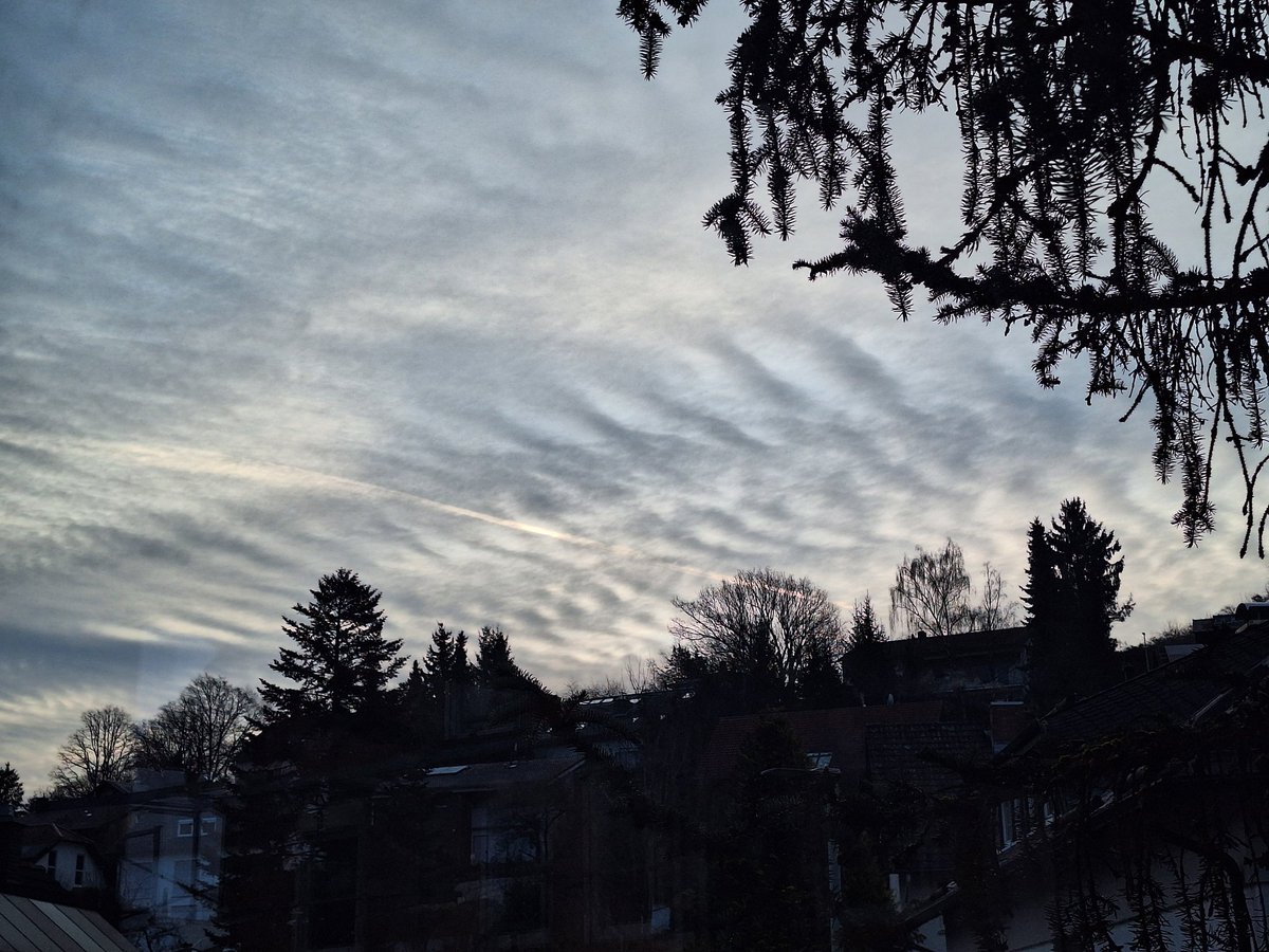 Landcruiser*in tweet media