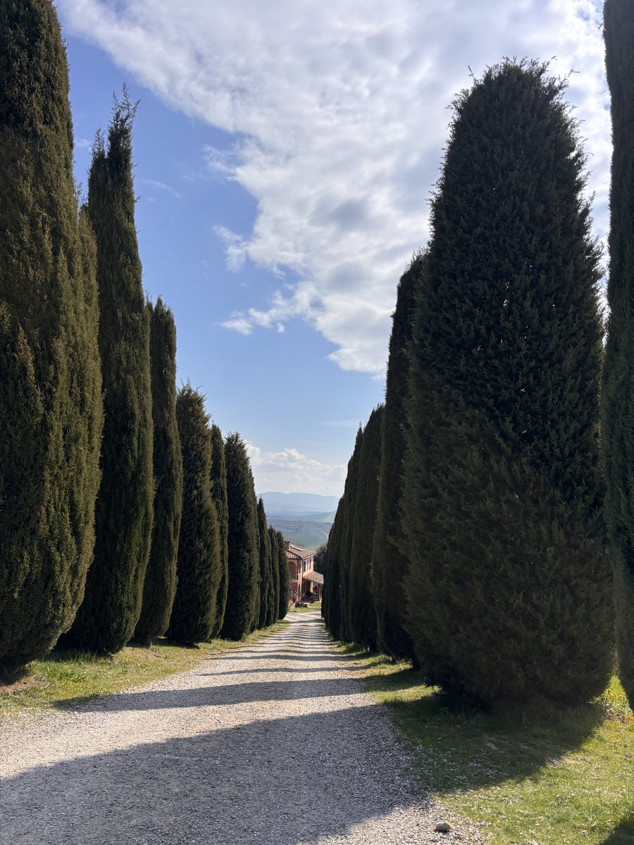 🇮🇹フィレンツェ発現地ツアーeasyfirenze tweet media