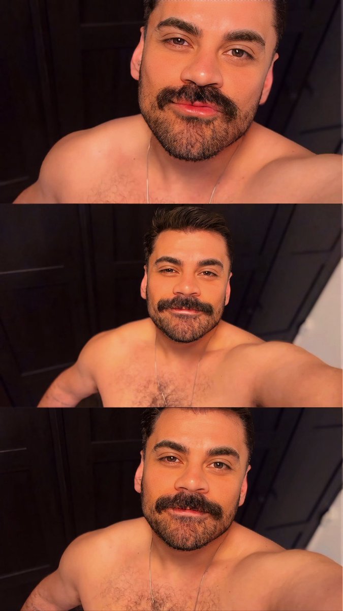 Pituquinho 🐻🇵🇹 tweet media