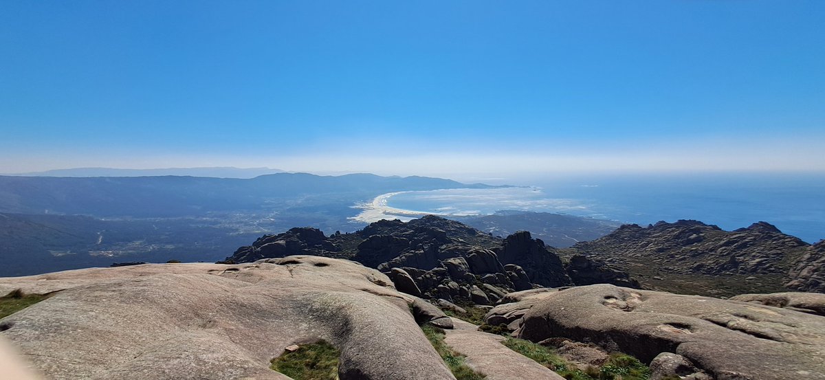 Ismael Vidal tweet media