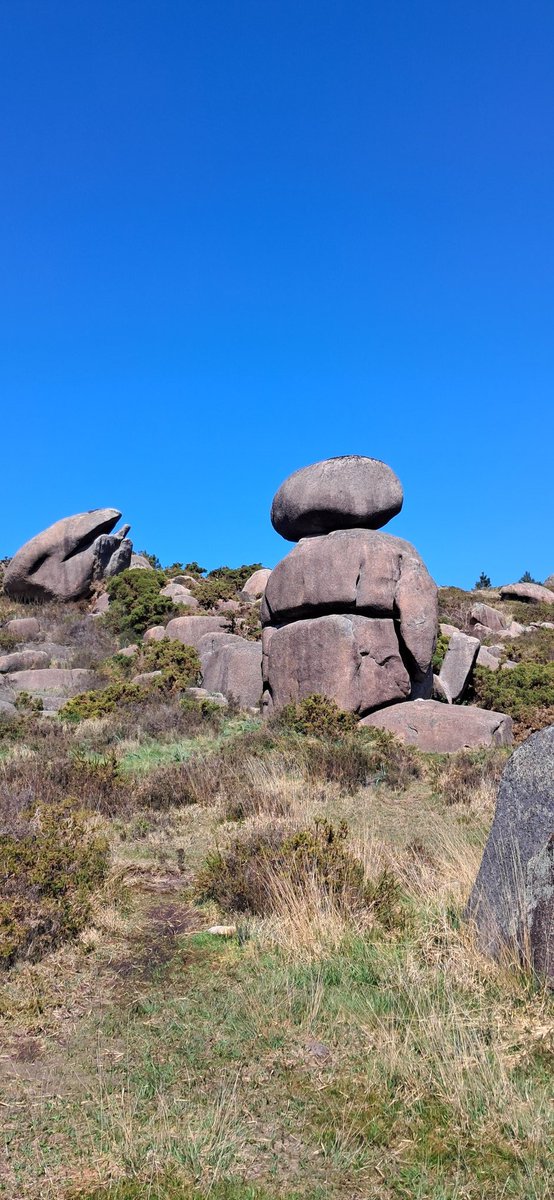 Ismael Vidal tweet media