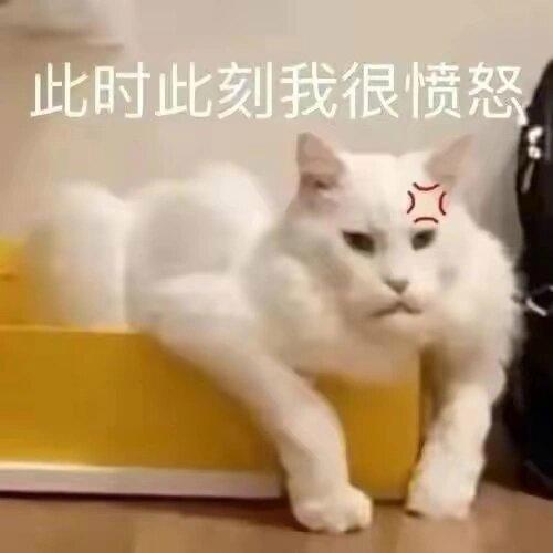 Lananxxx94's tweet image. We love PoohPavel as individuals and as a pair! Reject profit-driven 1+1 split, respect our true feelings!

 @change2561 @CHANGEARTIST_ @s_vorarit  

NEED RESPONSE FROM 2561  

#NoSeparateFMforPPV