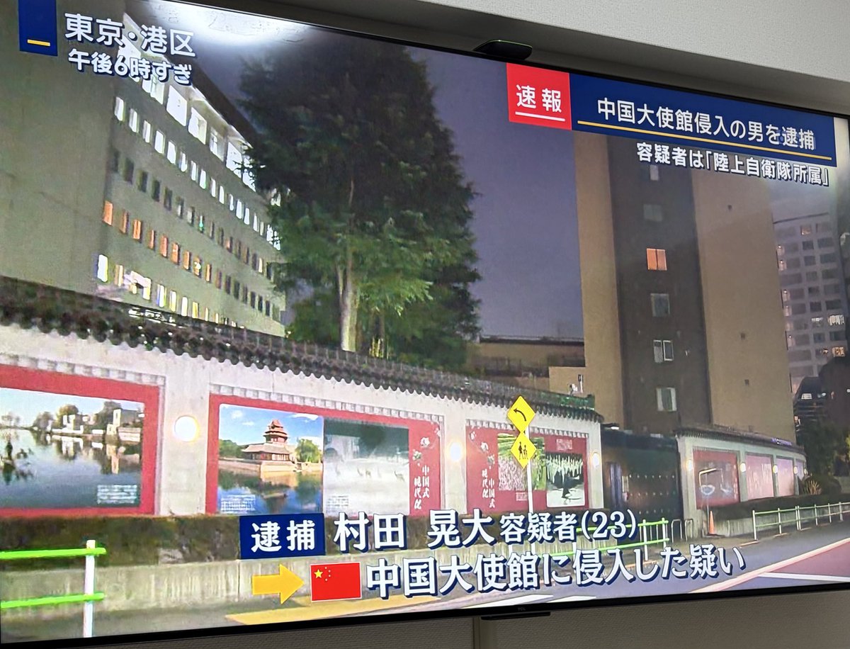 どんぐり陸士長 tweet media