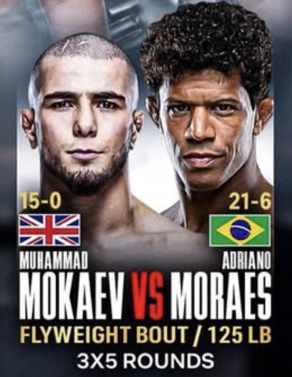 Dovy🔌 tweet media