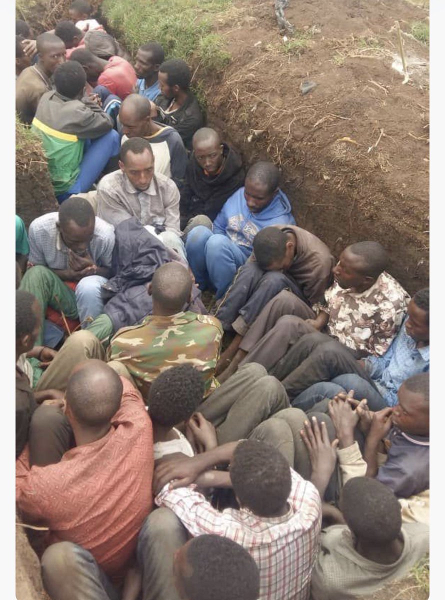 Ziravumera G tweet media