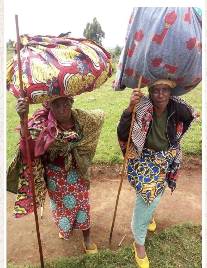 Ziravumera G tweet media