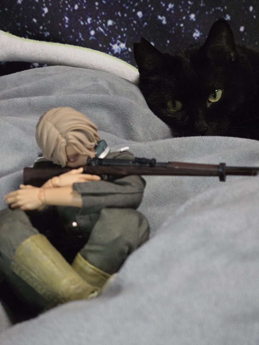 もぬもぬ🫠362POPI🌛 tweet media