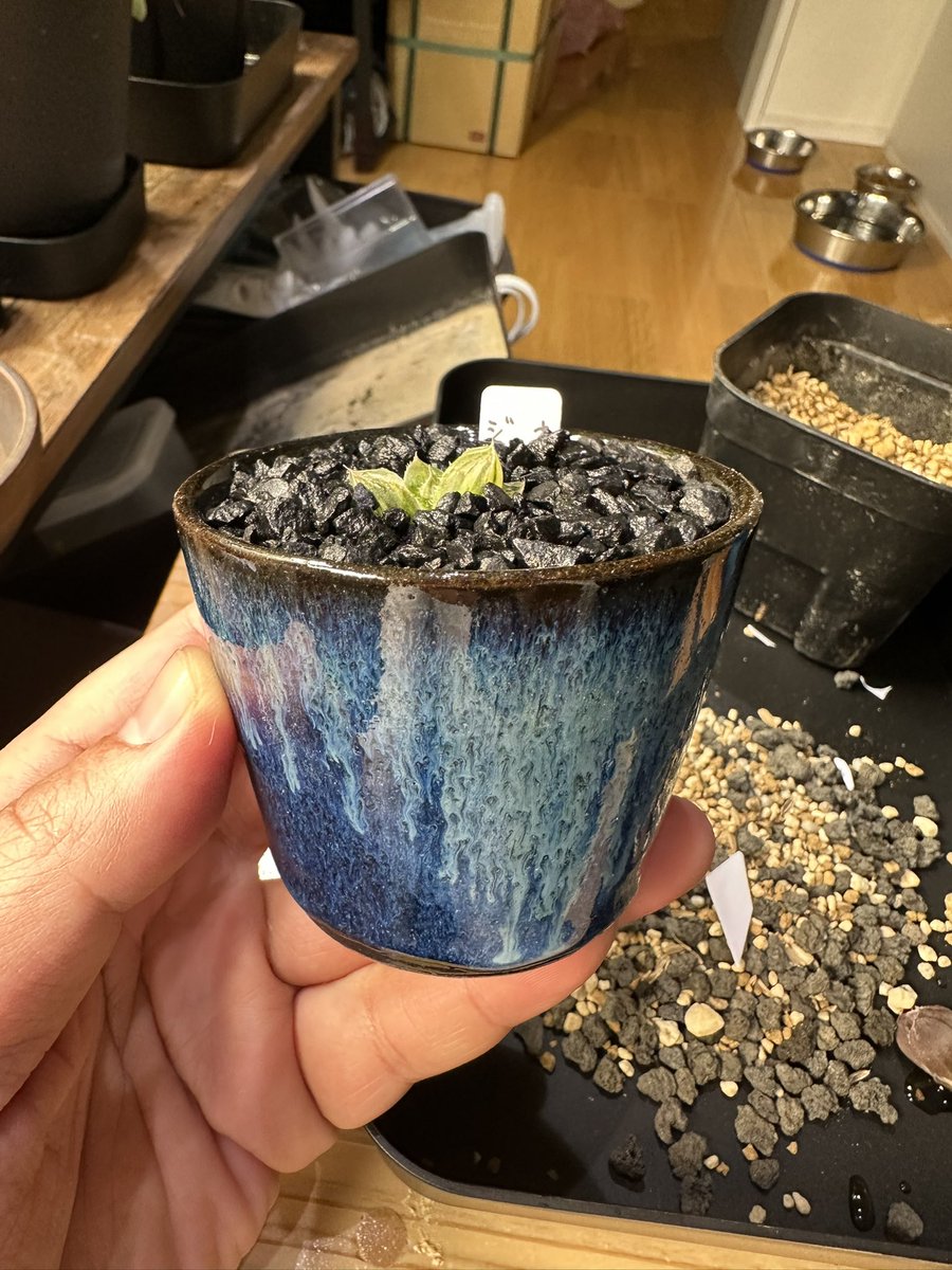 ロクデナシ tweet media