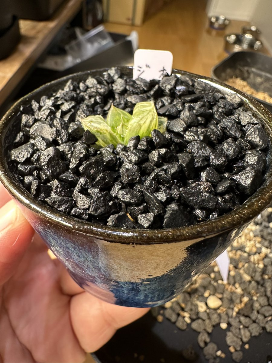 ロクデナシ tweet media