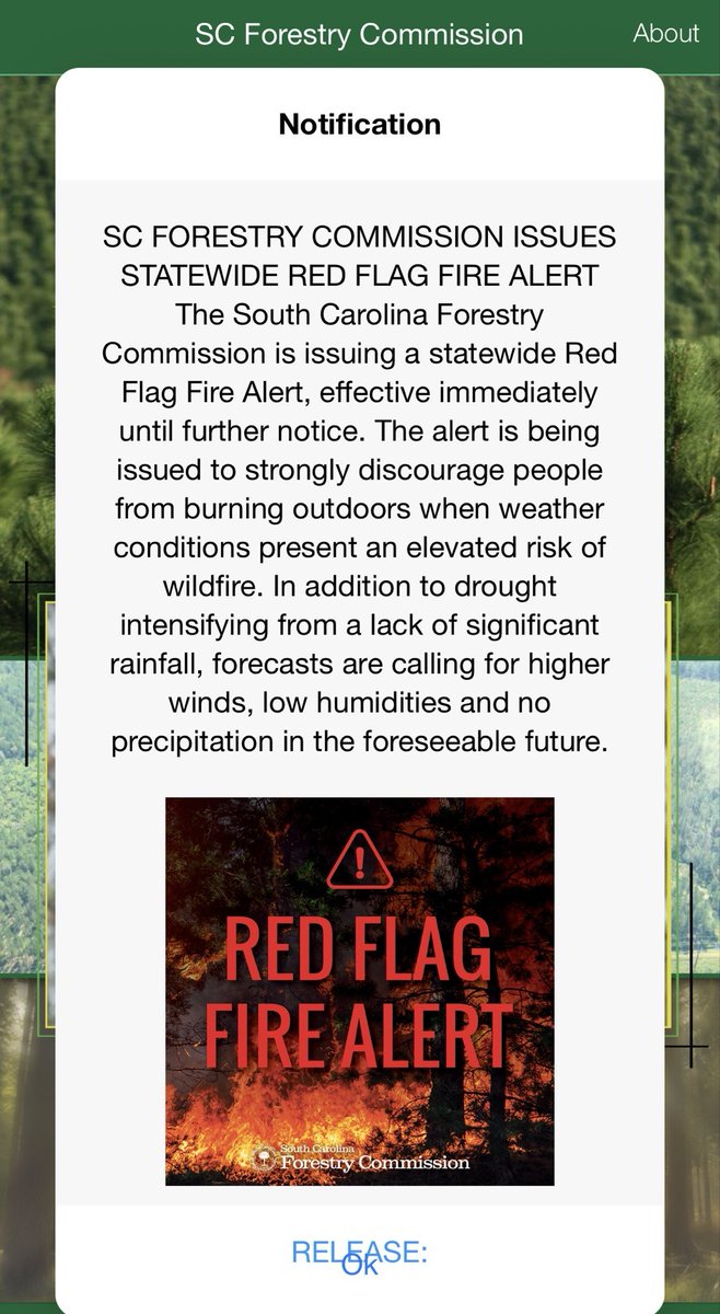 BurtonFire_SC tweet media