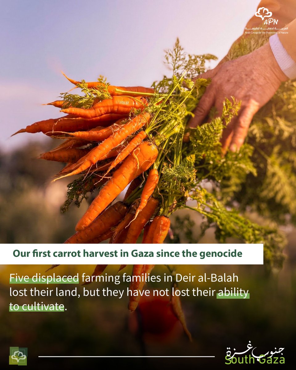 العربية لحماية الطبيعة - APN tweet media