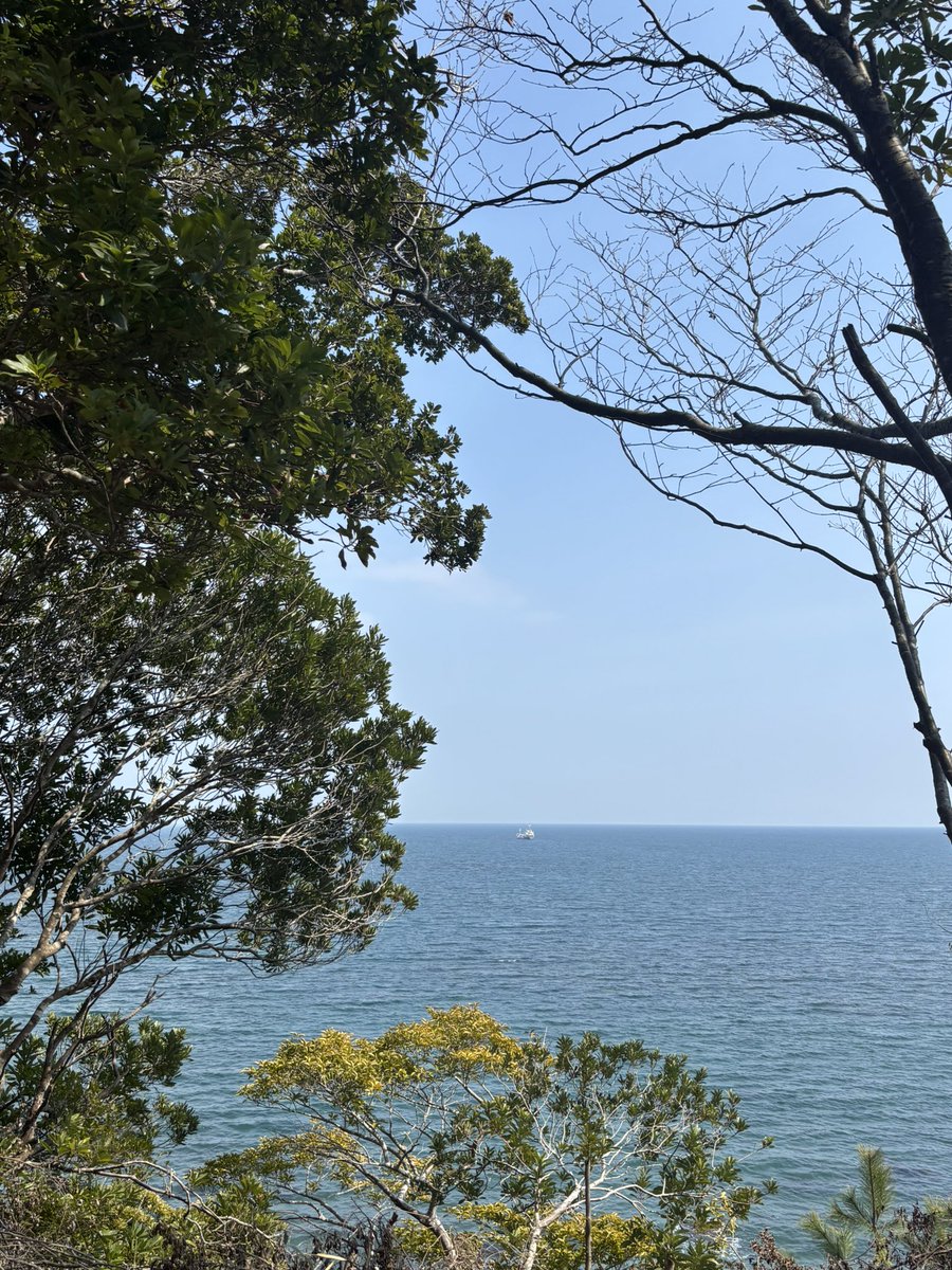 nasugar__'s tweet photo. ミモザをたくさん浴びてきた💛

 #日常垢  #日常垢さんと繋がりたい https://t.co/LMwTz64gRq